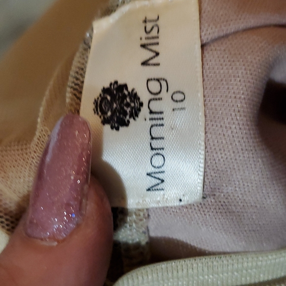 VERY SEXY Morning Mist size 10 Black and Nude  sheer dress 👗 - Picture 7 of 7
